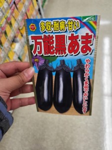 茄子(宮城產)